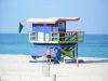 NY_-_MIAMI_07_431.jpg