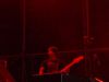11._ELECTRIC_EEL_SHOCK_(6).jpg