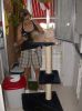 26_y_27_de_Julio_de_2008_218.jpg