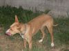 Marco_Antonio_-_Gray___Nora_(31-7-08)_017.jpg