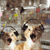 Filename=cat_(3).gif
Filesize=71KB
Dimensions=280x280
Date added=Oct 19, 2006 cat_(3).gif