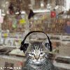 Filename=cat_(4).gif
Filesize=197KB
Dimensions=280x280
Date added=Oct 19, 2006 cat_(4).gif