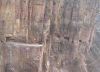Filename=image6.jpg
Filesize=80KB
Dimensions=670x484
Date added=Oct 27, 2006 image6.jpg